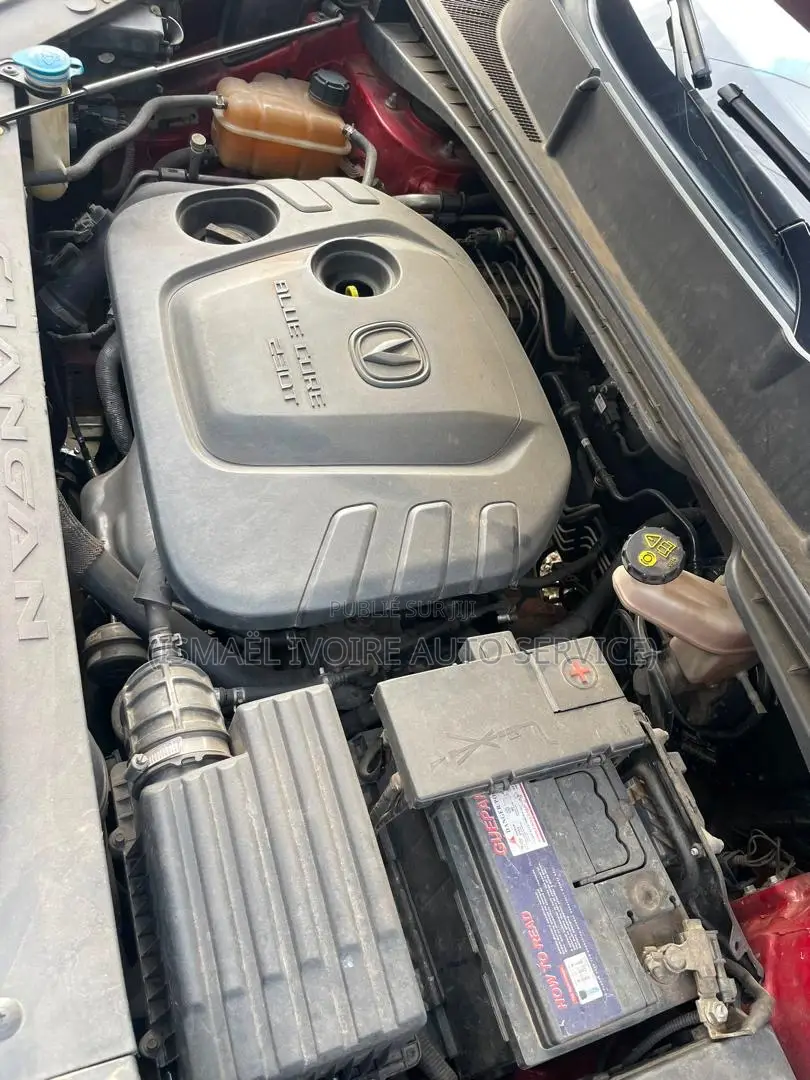 Changan CS55 Plus 1.5 Petrol FWD 2022 Rouge