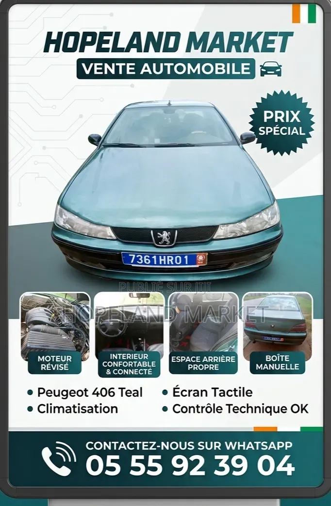 Peugeot 406 2014 Vert