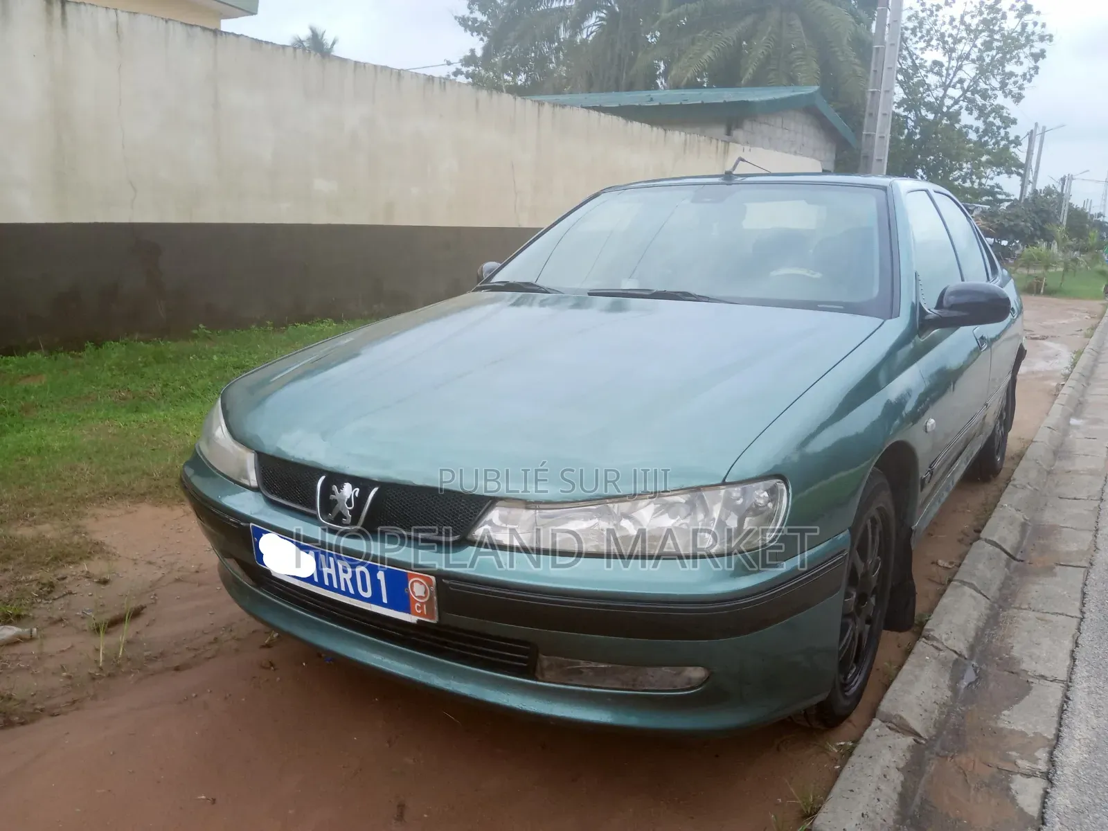 Peugeot 406 2014 Vert