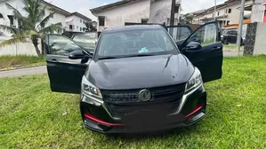 Dongfeng Glory 2023 Noir