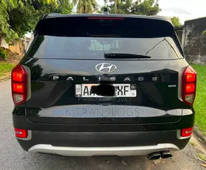 Hyundai Palissade 2021 Noir Mat