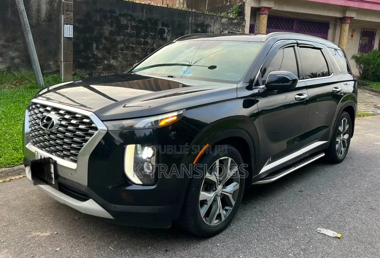Hyundai Palissade 2021 Noir Mat