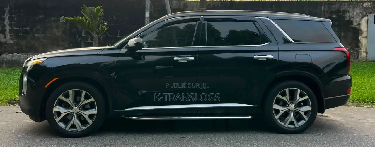 Hyundai Palissade 2021 Noir Mat