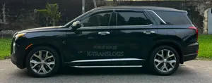 Hyundai Palissade 2021 Noir Mat