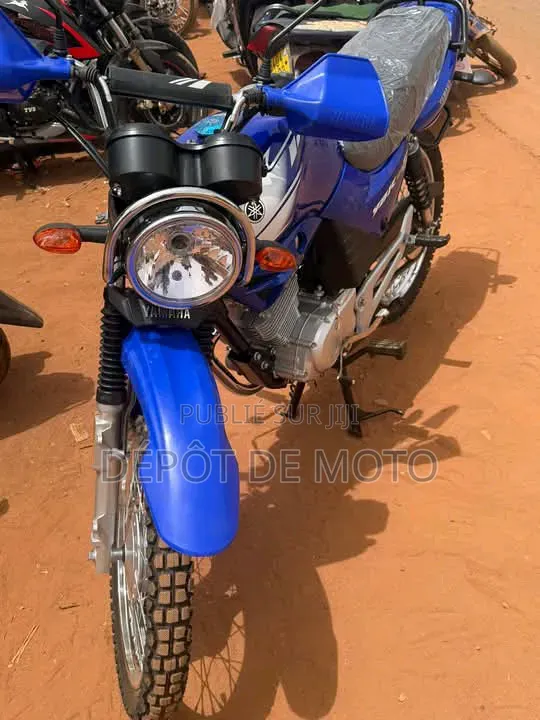 Nouveau Yamaha YBR125 2025 Bleu