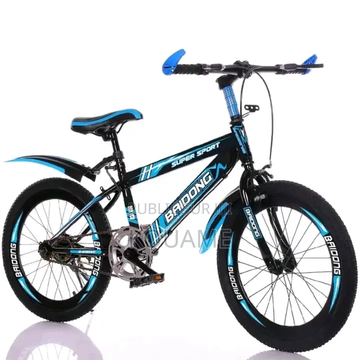 Vélo Électrique