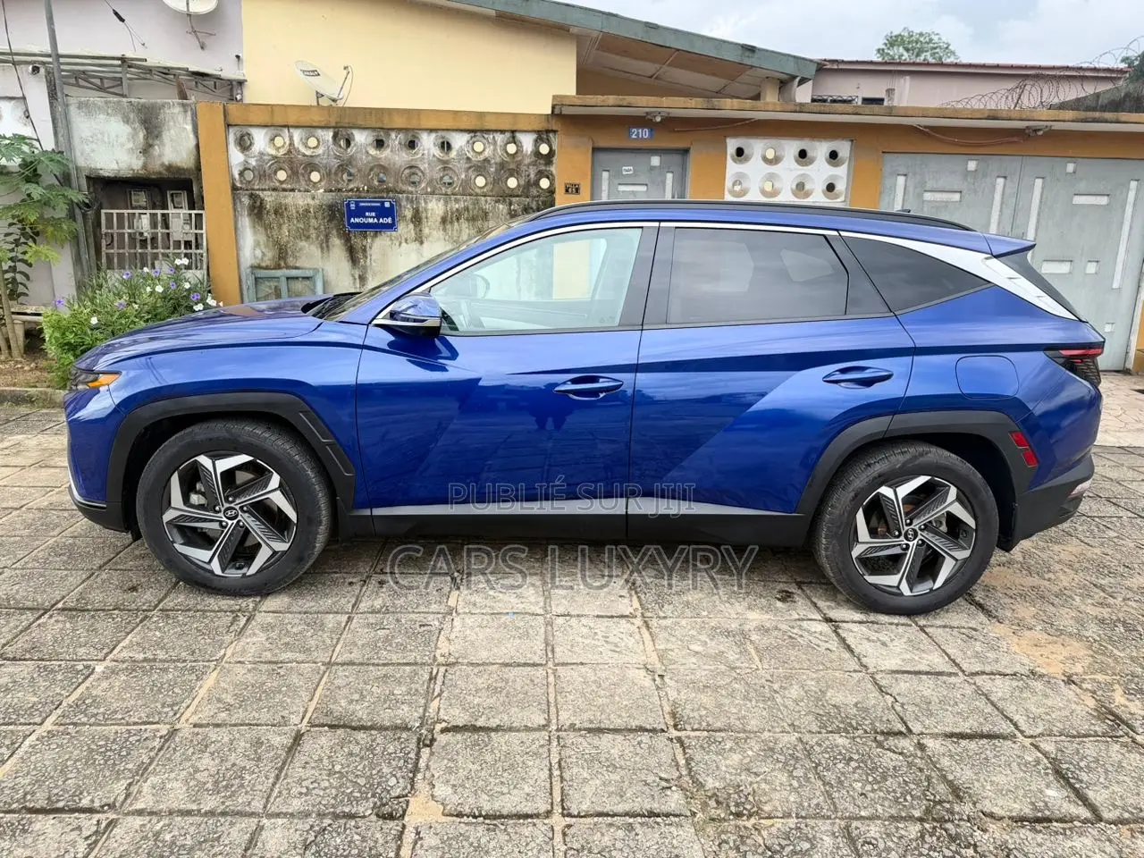Hyundai Tucson Limited 2023 Bleu