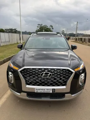 Hyundai Palissade 2022 Noir