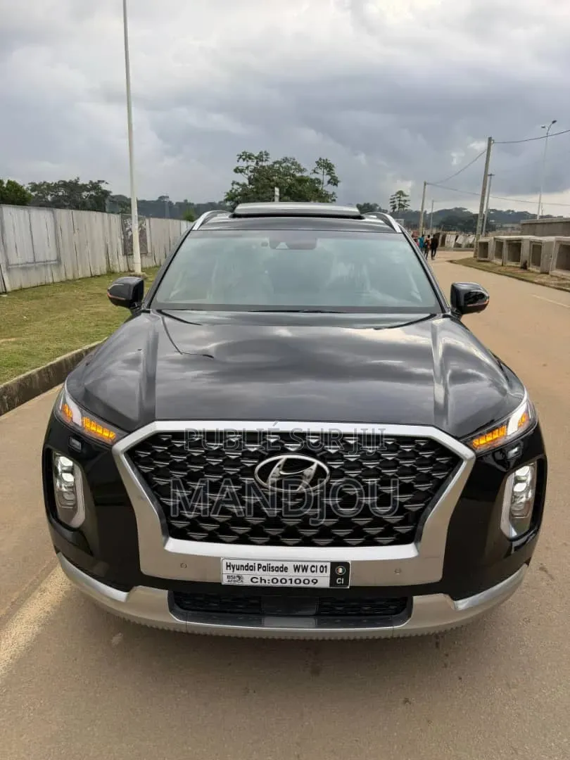 Hyundai Palissade 2022 Noir