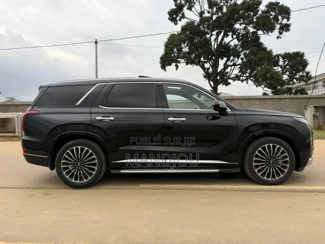 Hyundai Palissade 2022 Noir