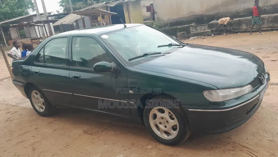 Peugeot 406 2004 Vert