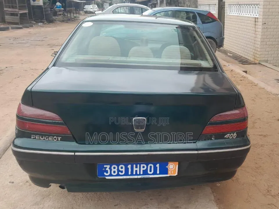 Peugeot 406 2004 Vert