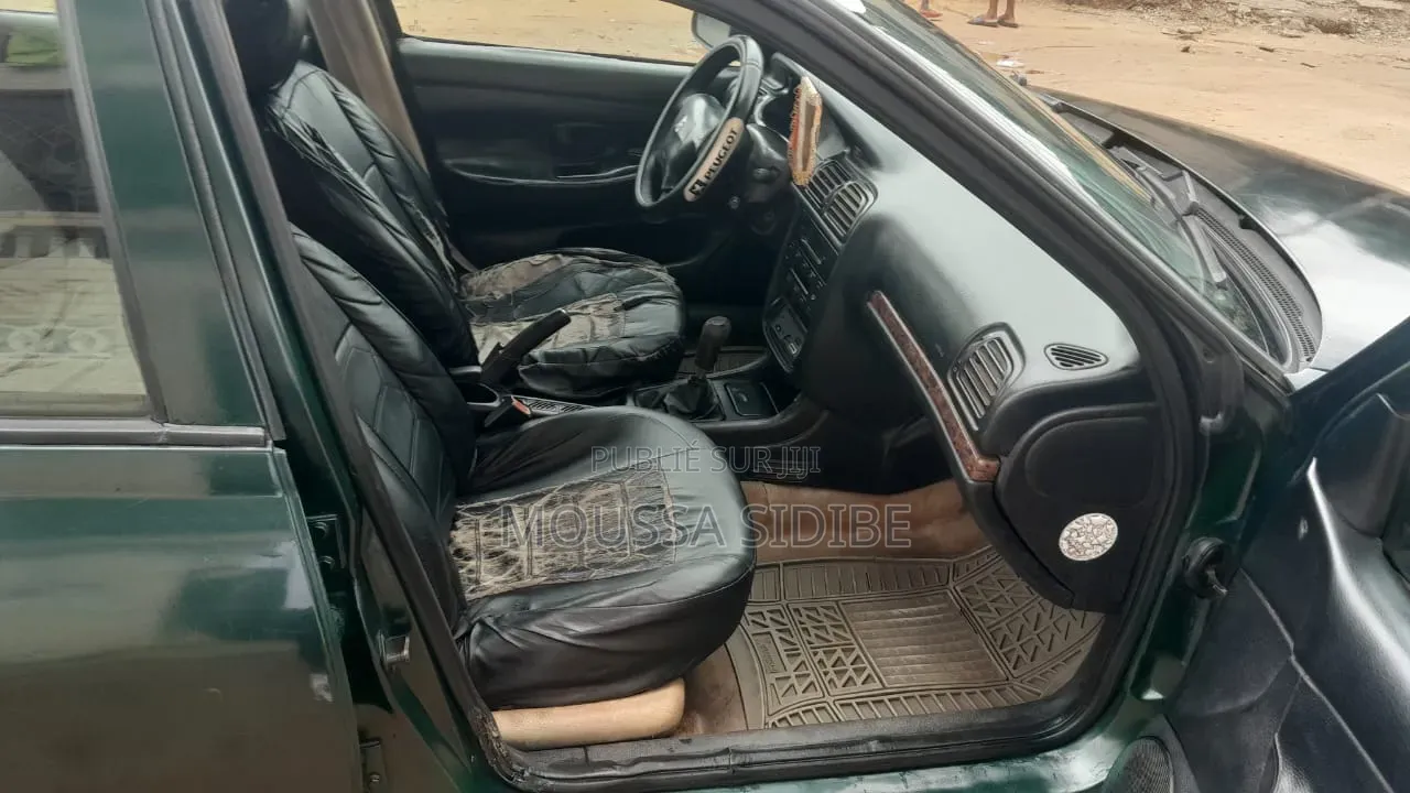 Peugeot 406 2004 Vert
