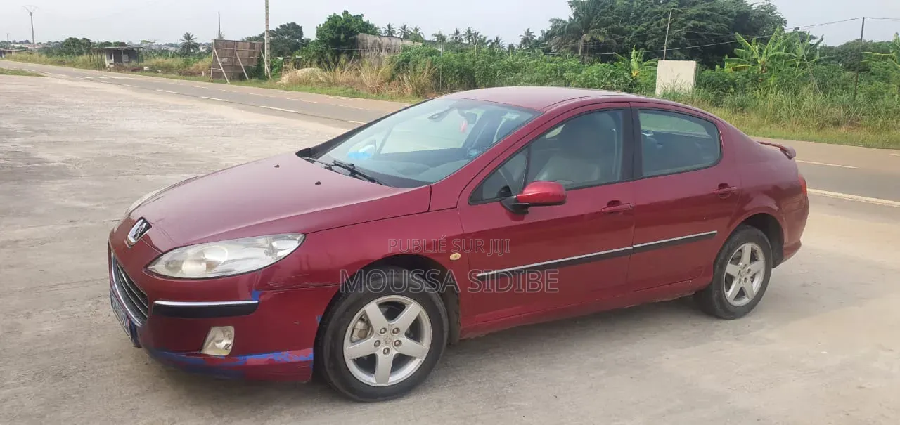 Peugeot 407 2004 Rouge