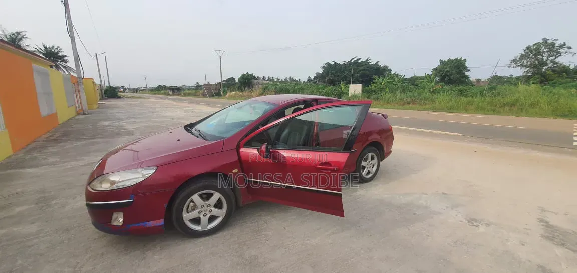 Peugeot 407 2004 Rouge