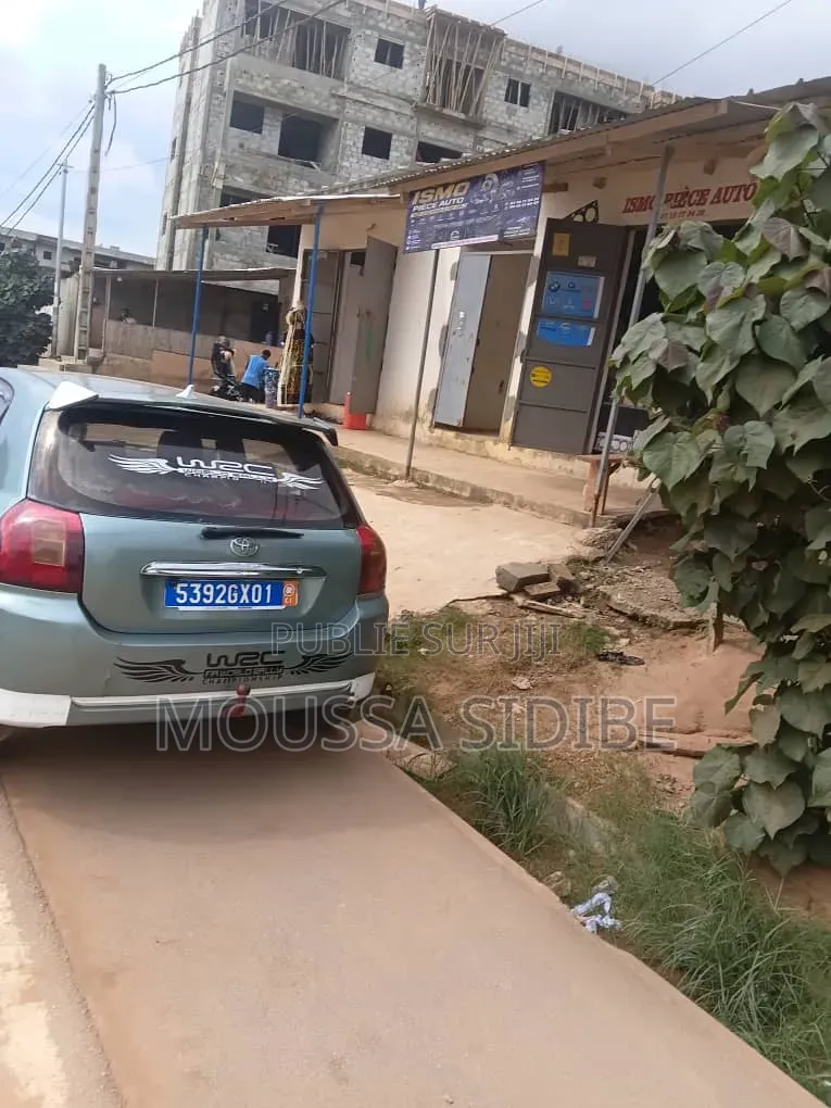 Toyota Corolla 2005 Gris
