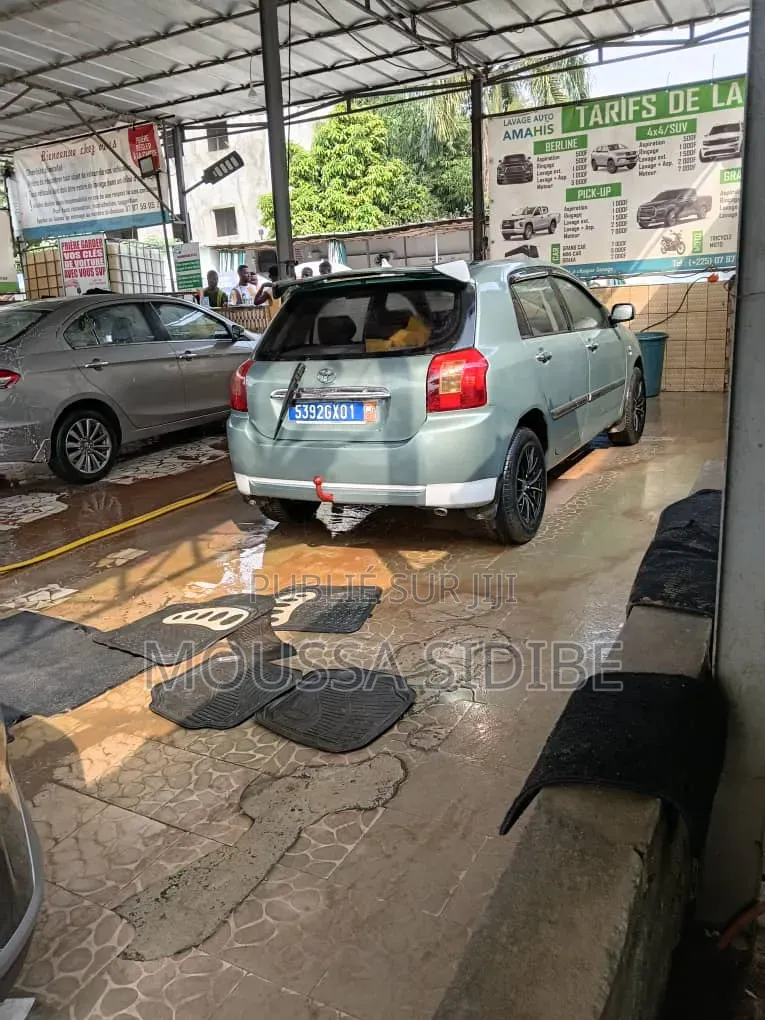 Toyota Corolla 2005 Gris