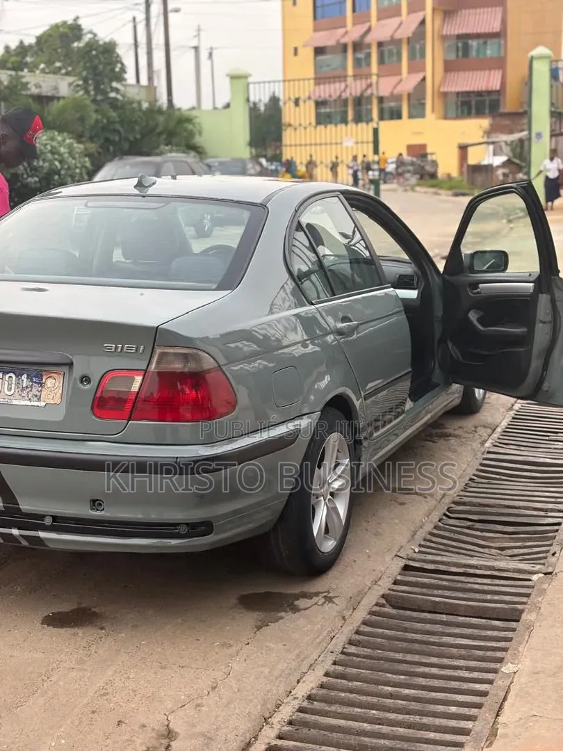 BMW 316i 2004 Vert