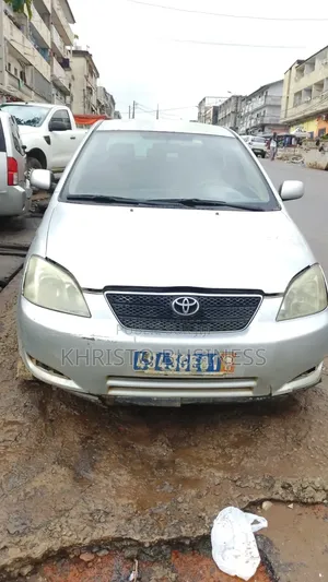 Toyota Corolla 2003 Gris