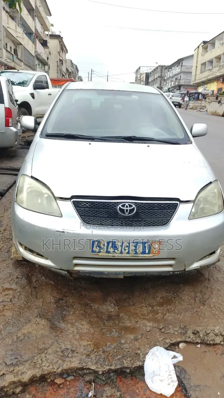 Toyota Corolla 2003 Gris