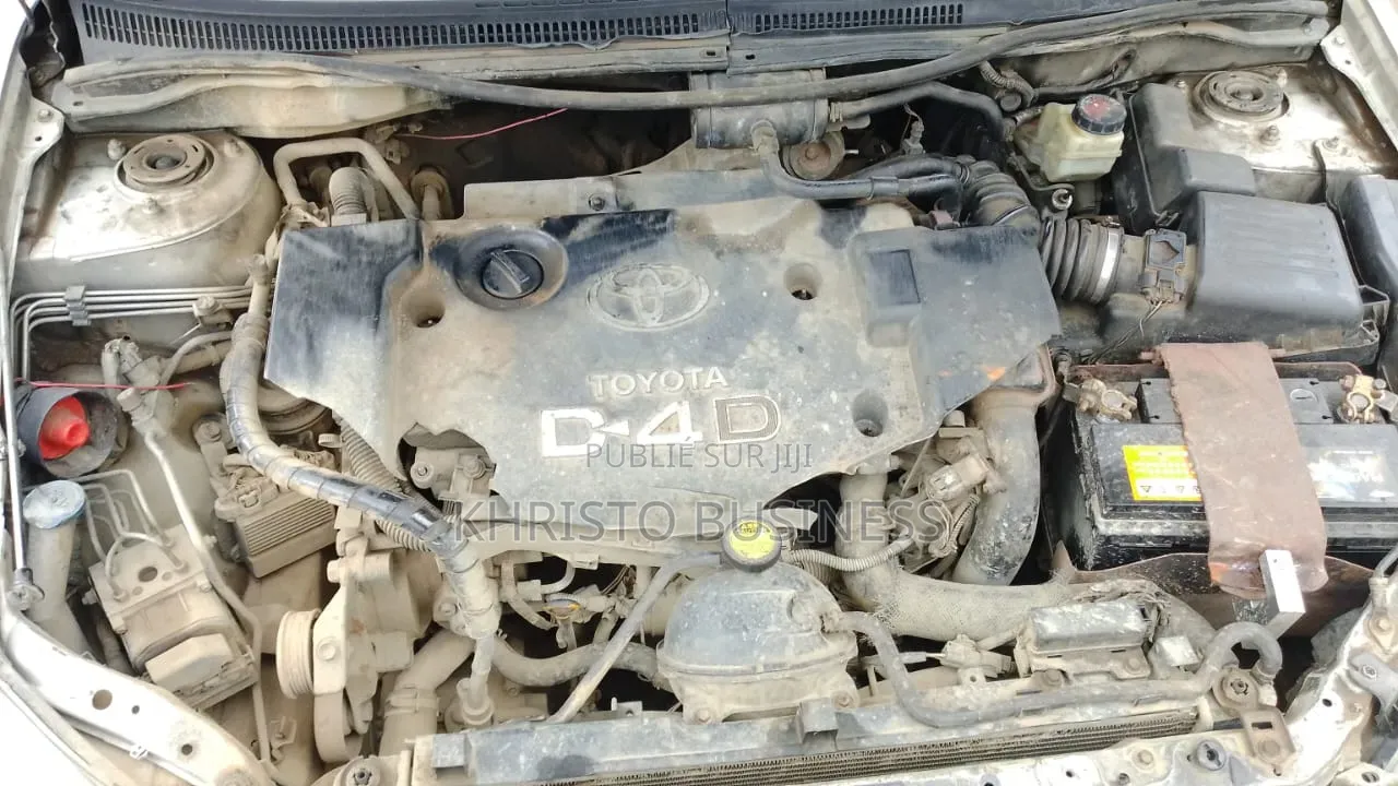 Toyota Corolla 2003 Gris
