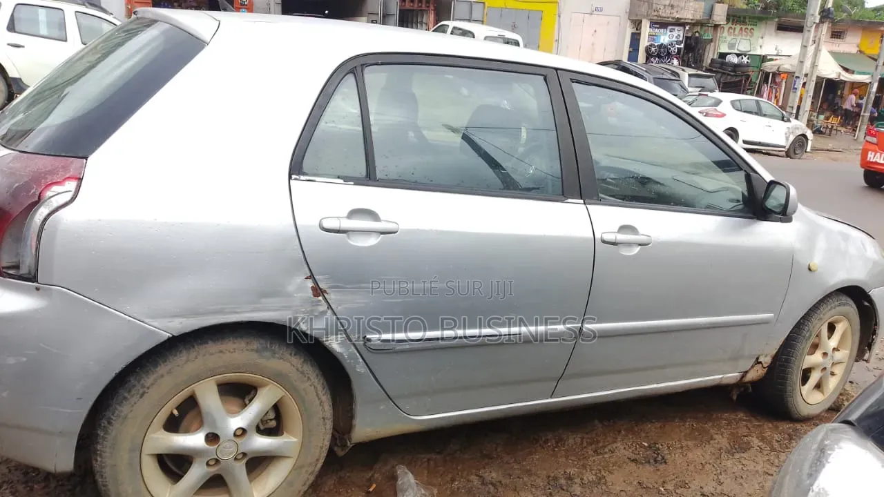 Toyota Corolla 2003 Gris