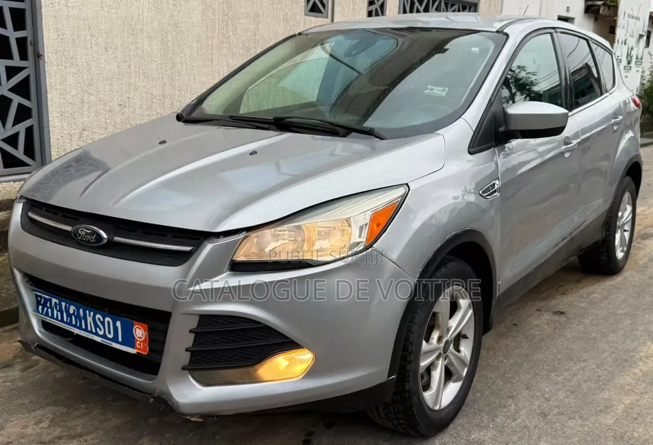 Ford Escape 2016 Gris