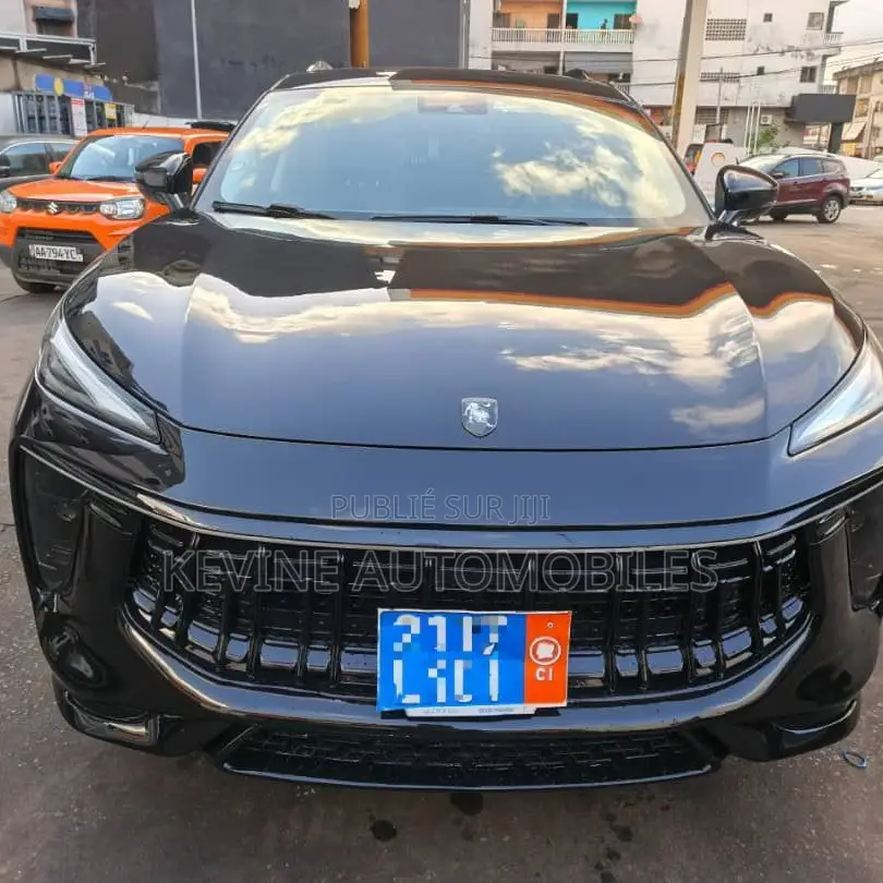 Dongfeng EV EX1 33 kW FWD 2023 Autre