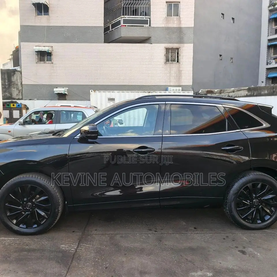 Dongfeng EV EX1 33 kW FWD 2023 Autre