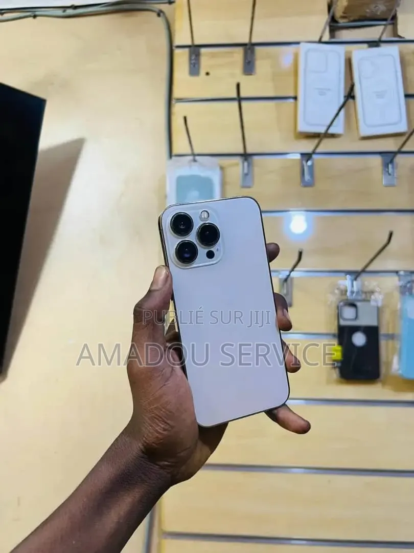 Nouveau Apple iPhone 13 Pro Max 512 GB Gris