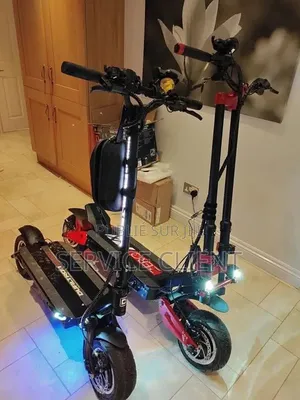 Trottinette Électrique