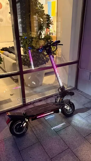Trottinette Électrique