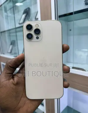 Nouveau Apple iPhone 12 Pro Max 256 GB Gris