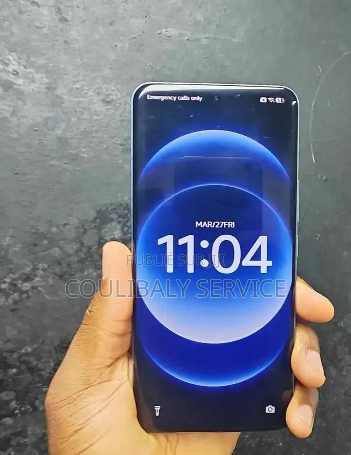 Nouveau Xiaomi 14 Ultra 256 GB Autre