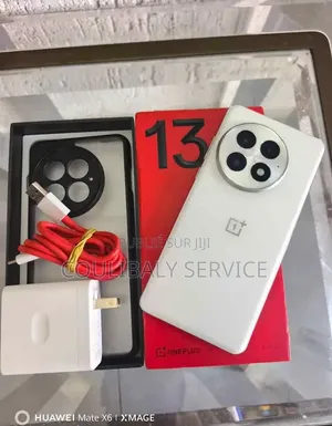 Nouveau OnePlus 13 512 GB Autre