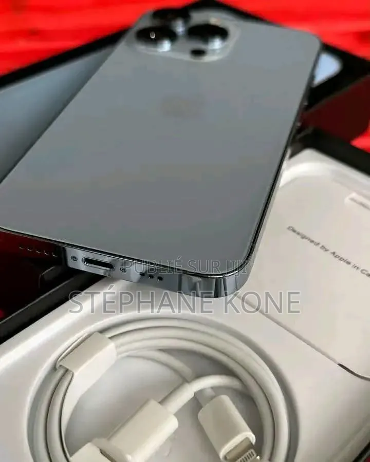 Nouveau Apple iPhone 13 Pro 256 GB Argenté
