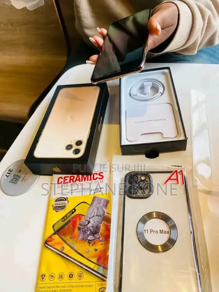 Nouveau Apple iPhone 11 Pro Max 256 GB Argenté