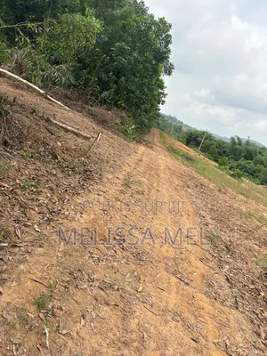 Terrain en Vente Sur Azaguie