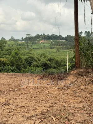 Terrain en Vente Sur Azaguie