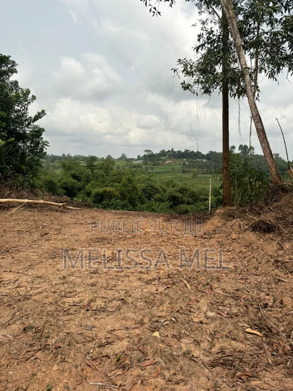 Terrain en Vente Sur Azaguie