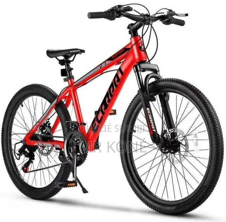 Vélo Électrique