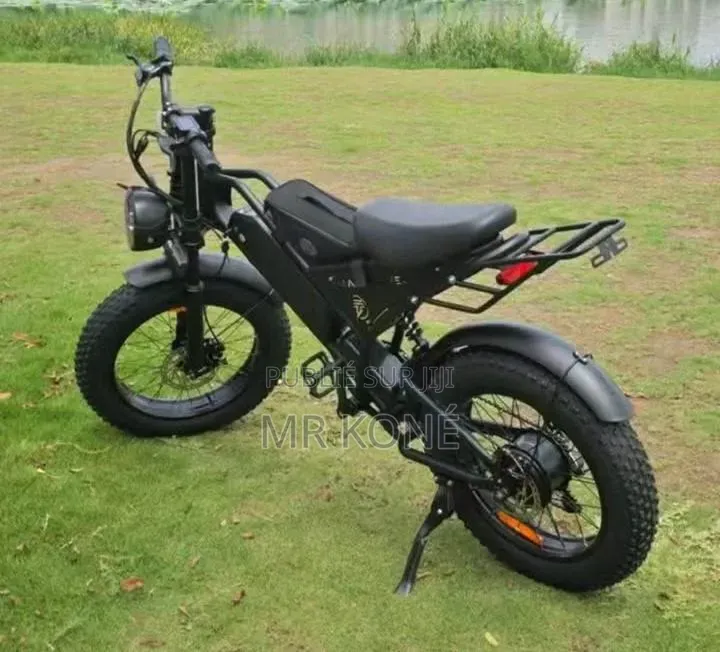 Vélo Électrique