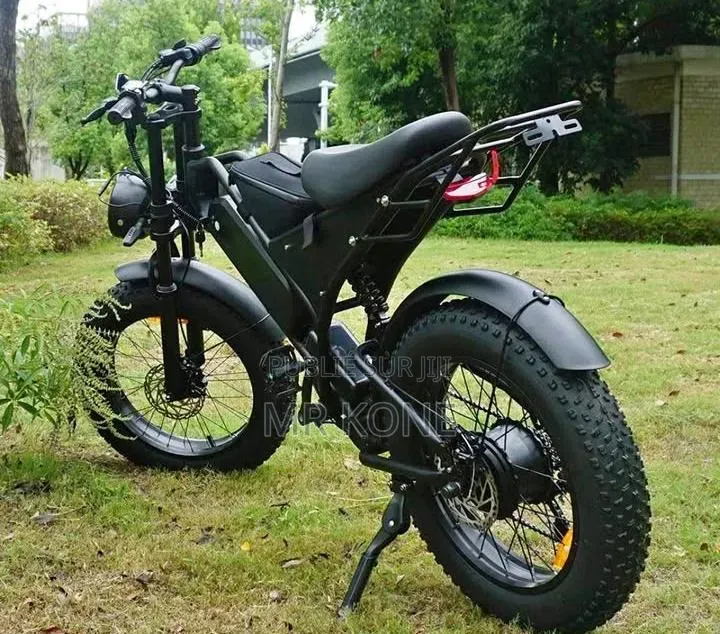 Vélo Électrique