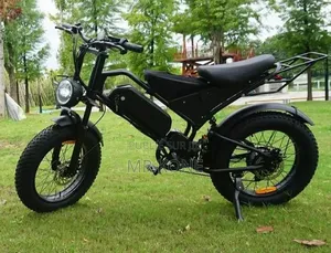 Vélo Électrique