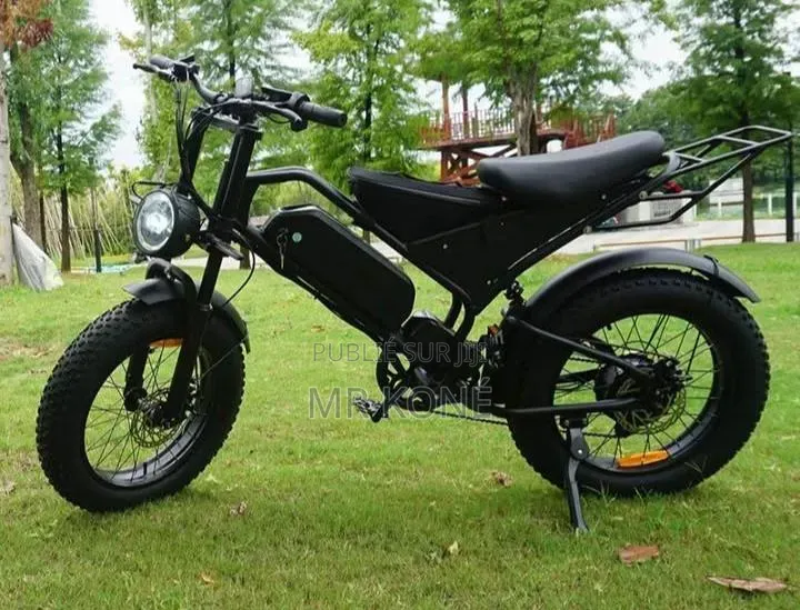 Vélo Électrique