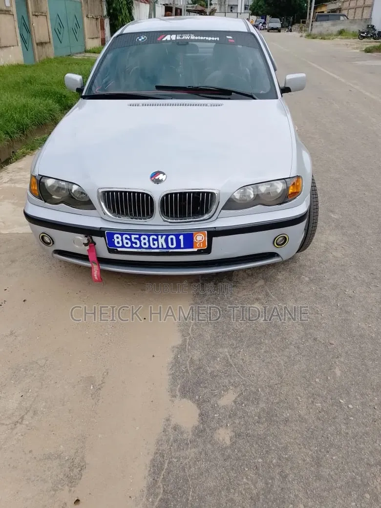 BMW 3 Series 2002 Gris