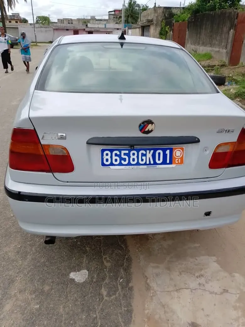 BMW 3 Series 2002 Gris