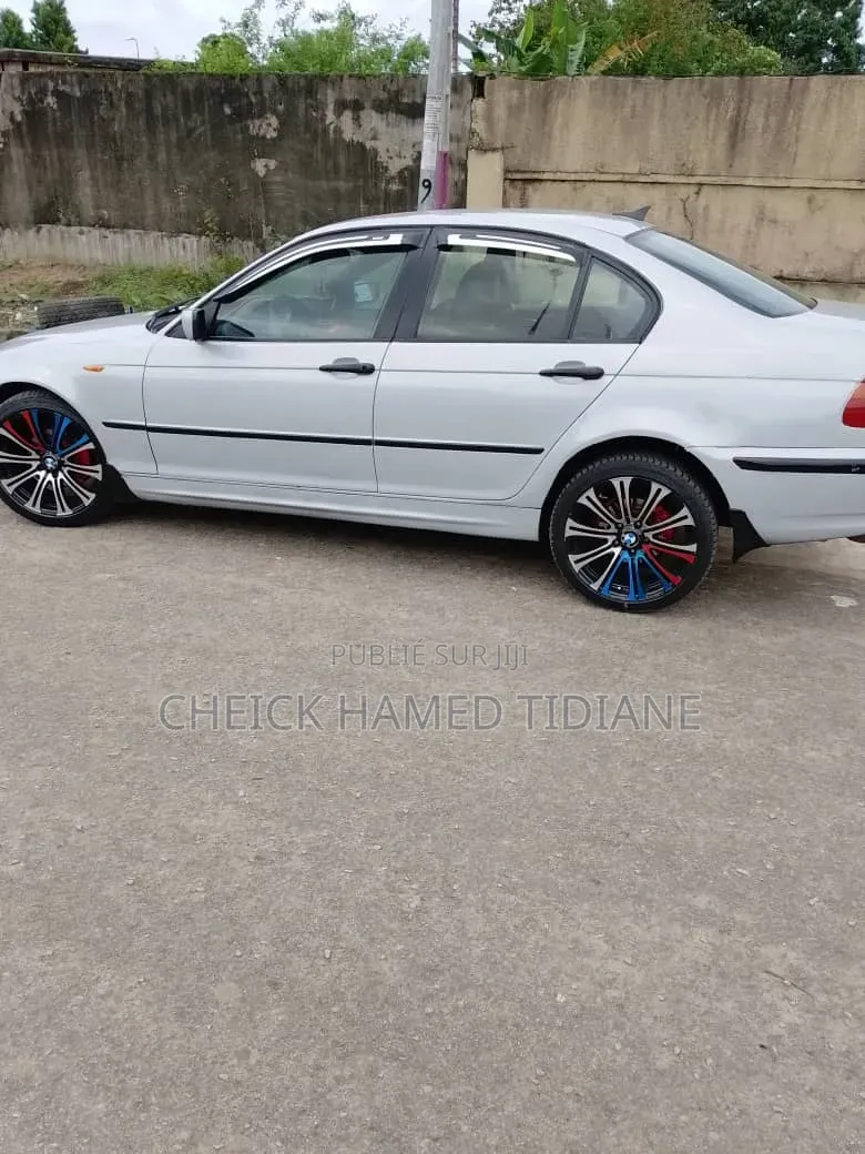 BMW 3 Series 2002 Gris