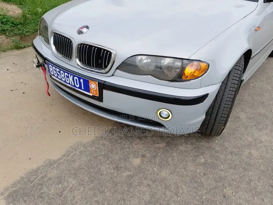 BMW 3 Series 2002 Gris