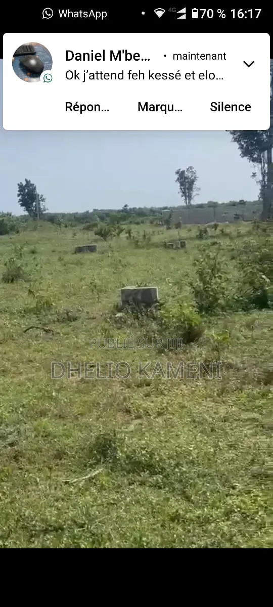 Opportunités Foncier À Azaguie Ahoua
